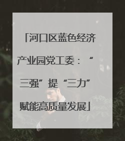 河口区蓝色经济产业园党工委：“三强”提“三力”赋能高质量发展