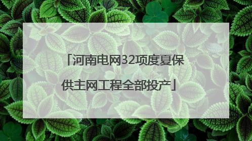 河南电网32项度夏保供主网工程全部投产