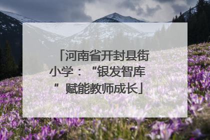 河南省开封县街小学：“银发智库”赋能教师成长