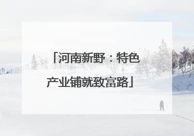 河南新野：特色产业铺就致富路