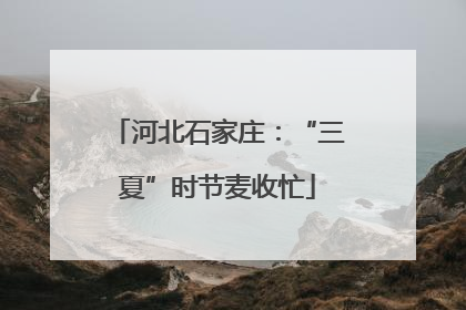 河北石家庄：“三夏”时节麦收忙