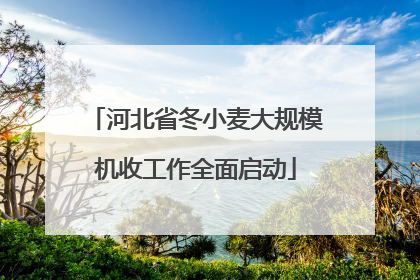 河北省冬小麦大规模机收工作全面启动