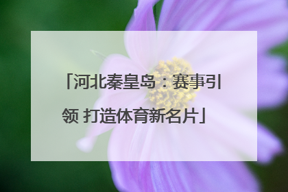 河北秦皇岛：赛事引领 打造体育新名片