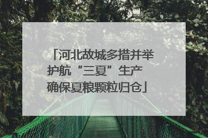 河北故城多措并举护航“三夏”生产 确保夏粮颗粒归仓