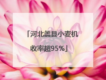 河北蠡县小麦机收率超95%