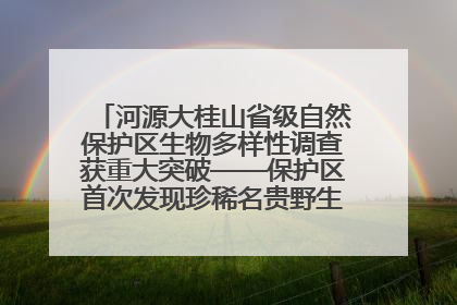河源大桂山省级自然保护区生物多样性调查获重大突破——保护区首次发现珍稀名贵野生干巴菌与钝尾两头蛇
