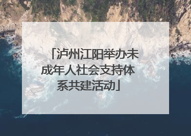 泸州江阳举办未成年人社会支持体系共建活动