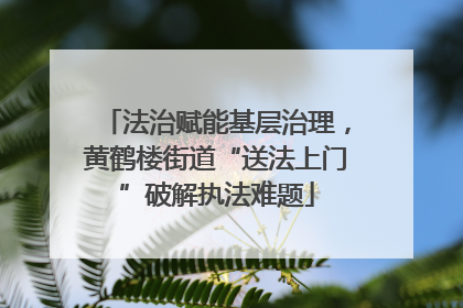 法治赋能基层治理，黄鹤楼街道“送法上门”破解执法难题