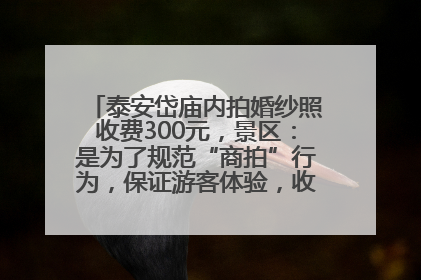 泰安岱庙内拍婚纱照收费300元，景区：是为了规范“商拍”行为，保证游客体验，收取费用全部上交国库