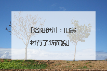 洛阳伊川：旧寨村有了新面貌