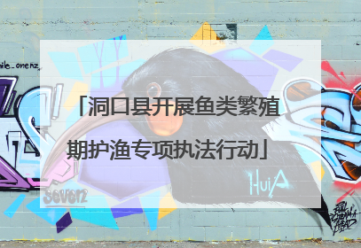 洞口县开展鱼类繁殖期护渔专项执法行动