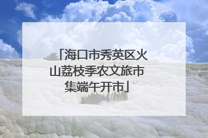 海口市秀英区火山荔枝季农文旅市集端午开市