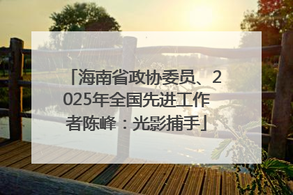 海南省政协委员、2025年全国先进工作者陈峰：光影捕手