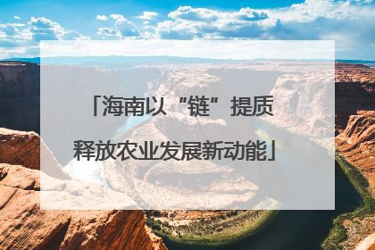 海南以“链”提质 释放农业发展新动能