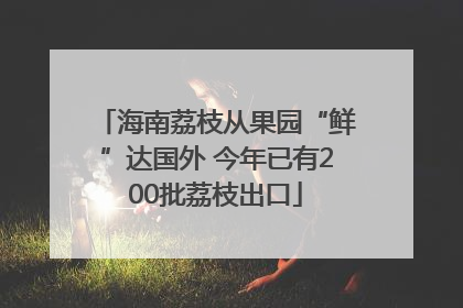 海南荔枝从果园“鲜”达国外 今年已有200批荔枝出口