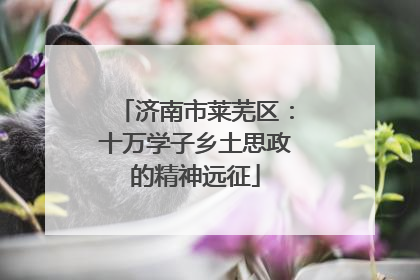 济南市莱芜区：十万学子乡土思政的精神远征