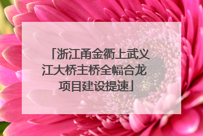 浙江甬金衢上武义江大桥主桥全幅合龙 项目建设提速