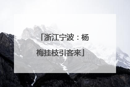 浙江宁波：杨梅挂枝引客来