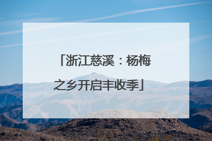 浙江慈溪：杨梅之乡开启丰收季