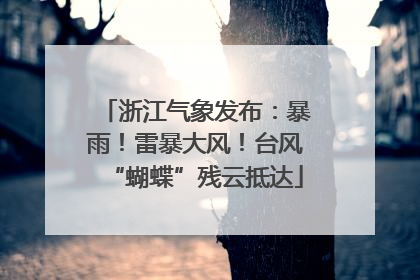 浙江气象发布：暴雨！雷暴大风！台风“蝴蝶”残云抵达