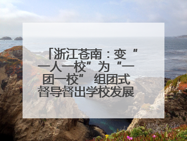 浙江苍南：变“一人一校”为“一团一校” 组团式督导督出学校发展加速度