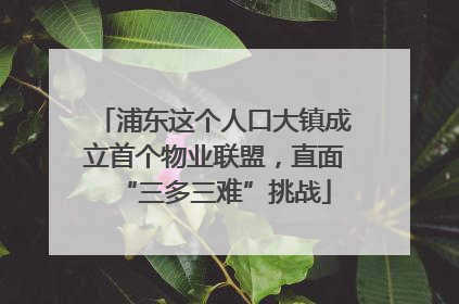 浦东这个人口大镇成立首个物业联盟，直面“三多三难”挑战