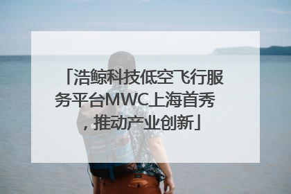 浩鲸科技低空飞行服务平台MWC上海首秀，推动产业创新