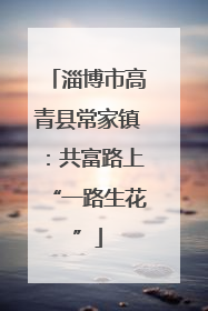 淄博市高青县常家镇：共富路上“一路生花”