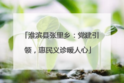 淮滨县张里乡：党建引领，惠民义诊暖人心