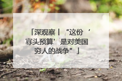 深观察丨“这份‘寡头预算’是对美国穷人的战争”