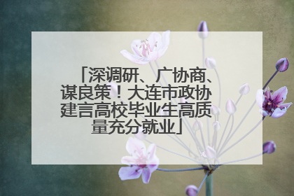 深调研、广协商、谋良策！大连市政协建言高校毕业生高质量充分就业
