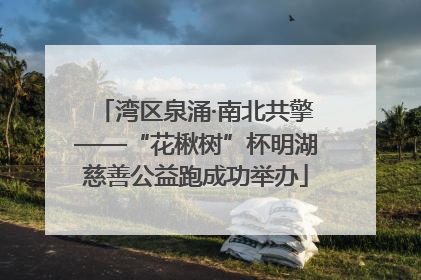 湾区泉涌·南北共擎——“花楸树”杯明湖慈善公益跑成功举办
