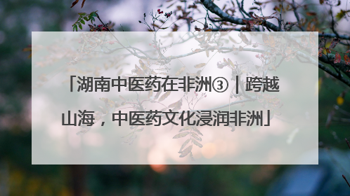 湖南中医药在非洲③｜跨越山海，中医药文化浸润非洲