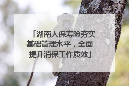 湖南人保寿险夯实基础管理水平，全面提升消保工作质效