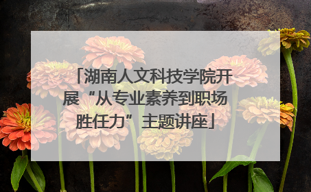湖南人文科技学院开展“从专业素养到职场胜任力”主题讲座