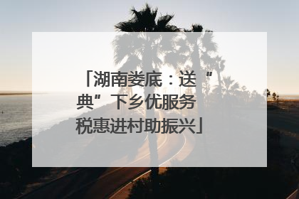 湖南娄底：送“典”下乡优服务 税惠进村助振兴