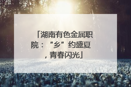 湖南有色金属职院：“乡”约盛夏，青春闪光