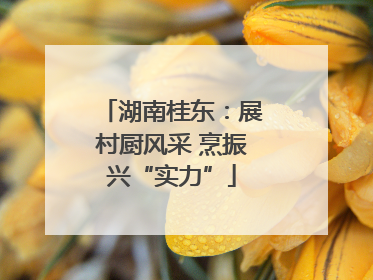 湖南桂东：展村厨风采 烹振兴“实力”