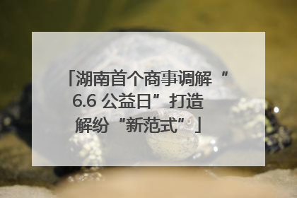 湖南首个商事调解“6.6 公益日”打造解纷“新范式”