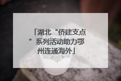 湖北“侨建支点”系列活动助力鄂州连通海外