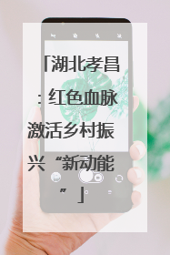 湖北孝昌：红色血脉激活乡村振兴“新动能”