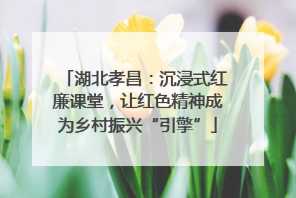 湖北孝昌：沉浸式红廉课堂，让红色精神成为乡村振兴“引擎”