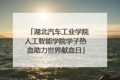 湖北汽车工业学院人工智能学院学子热血助力世界献血日