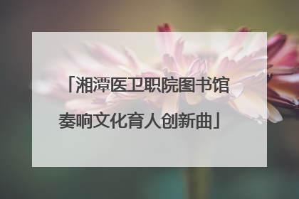 湘潭医卫职院图书馆奏响文化育人创新曲