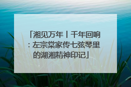 湘见万年丨千年回响：左宗棠家传七弦琴里的湖湘精神印记