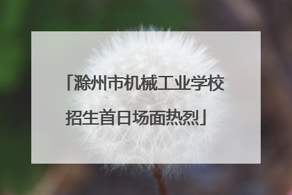 滁州市机械工业学校招生首日场面热烈
