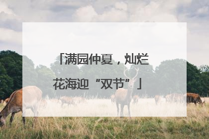 满园仲夏，灿烂花海迎“双节”