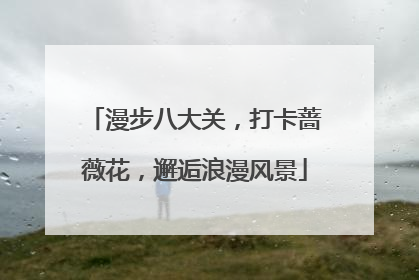 漫步八大关，打卡蔷薇花，邂逅浪漫风景