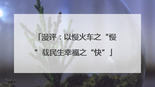 漫评：以慢火车之“慢”载民生幸福之“快”