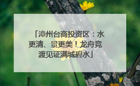 漳州台商投资区：水更清、景更美！龙舟竞渡见证满城碧水